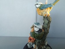 Country Artist X2 Birds