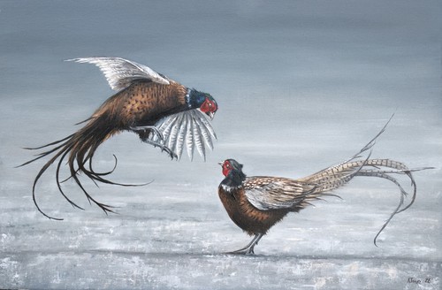 Fighting pheasants giclée - fighting,