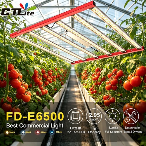 Ctlite e6500 680w - ctlite,