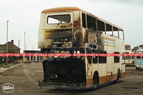 Bus photo south - photo,