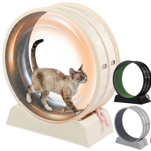 Cat exercise wheel treadmill - exercise,