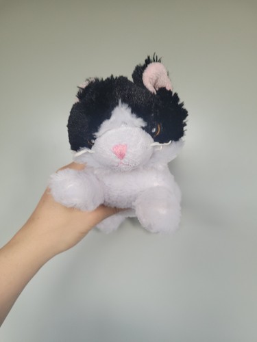 Sainsburys black white cat - sainsburys,