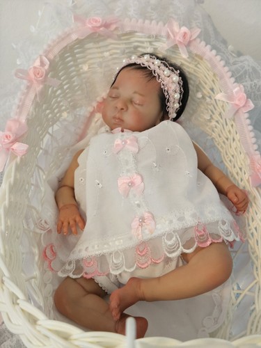 Stunning oak preemie - preemie, 24