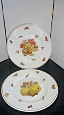 Vintage Mayfair Bone China Pair of Fruit Dinner Plates  10.75"