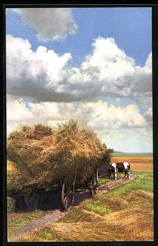 Artist postcard photochrome - artist's,