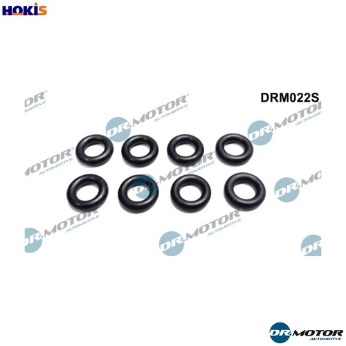 Seal ring injector - seal,