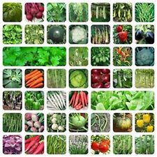 Indian veg  45 Variety Of