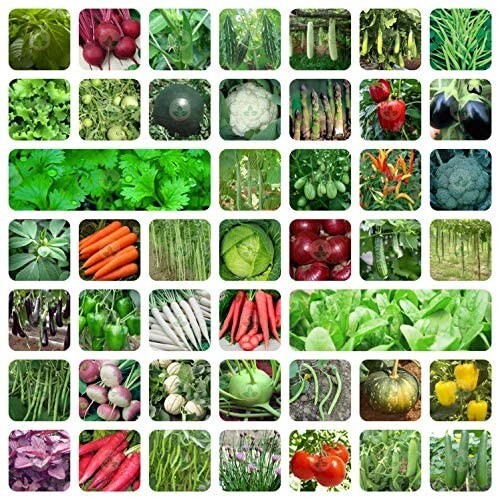 Indian veg variety of - indian,