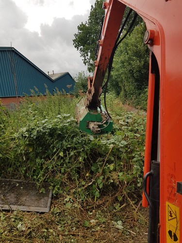 Flail hedge cutter scrub - hedge,