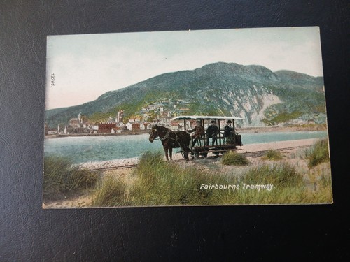 Horse drawn tramway - horse,