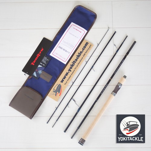 Tenryu rayz integral - tenryu,