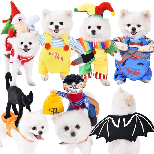 Halloween dog costume - halloween, pet