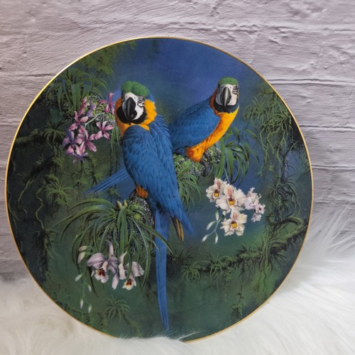 Bone china plate - plate, 8"(20cm)