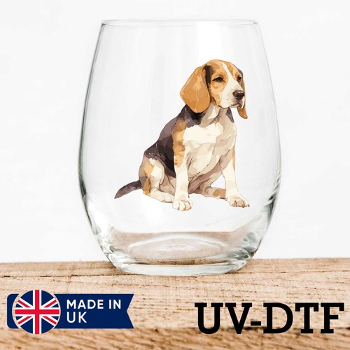 Beagle puppy dog 8pcs dtf - beagle,
