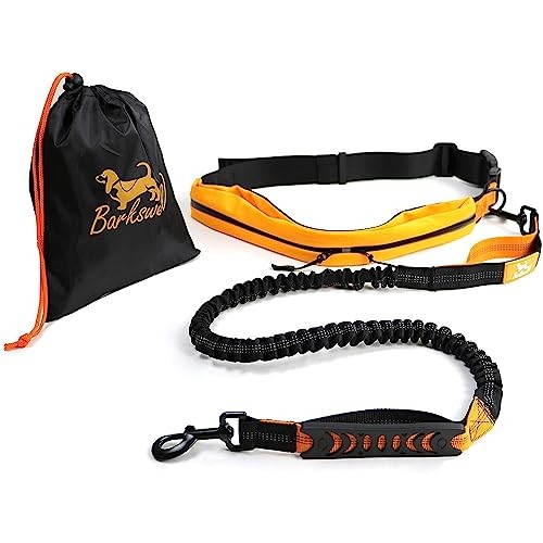 Hands free dog lead bungee - lead,