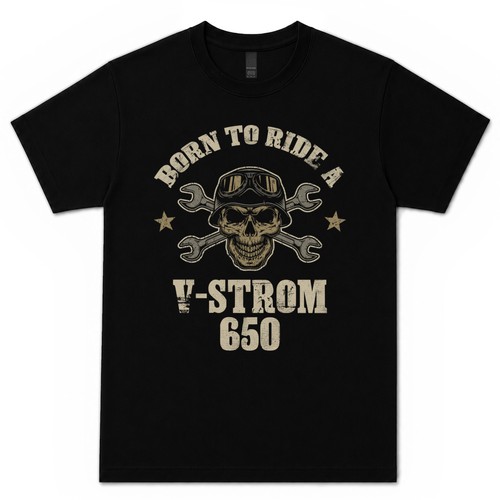 Born ride strom 650 - ride, v-strom