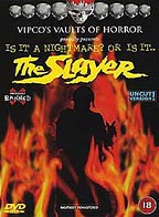 The slayer dvd - dvd, vgc