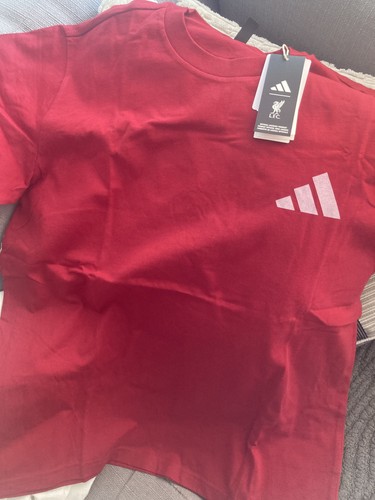 Liverpool tshirt size large - liverpool,