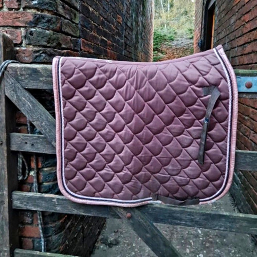 Hkm cavallino marino - marino, dressage