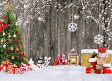 Christmas Photography Backdrop