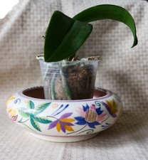 1930s Poole Pottery