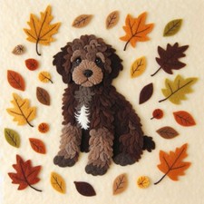 Luxury Chocolate Cockapoo