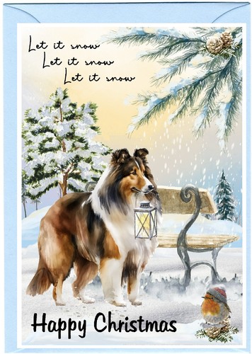 Rough collie dog - rough, a6