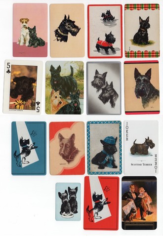 Scottish terrier scottie dog - scottie,