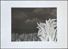 René Magritte * The Change Of .... * 50 X 70 Cm * Signed Lithograph * Limited