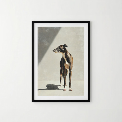 Sunlit greyhound print - sunlit, with