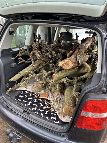 Various sized laburnum wood - various,