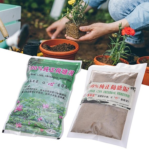Natural lotus pond mud aquatic - lotus,