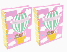 2 x Baby Pink Photo Albums