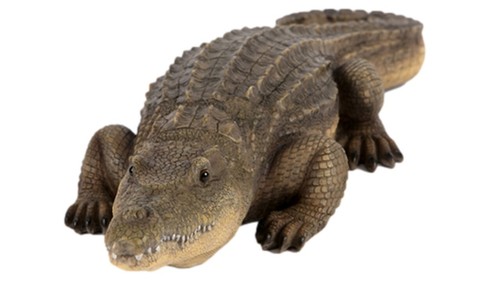 Crocodile garden ornament - crocodile,