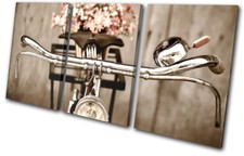 Retro Flowers Antique Bicycle  Vintage TREBLE CANVAS WALL ART Picture Print