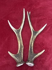 PAIR OF SIKA DEER ANTLERS