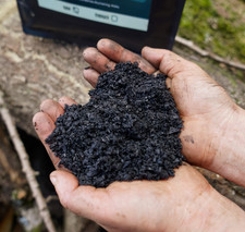 Raw biochar soil - biochar,