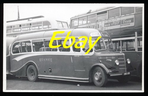 Bus photo bedford hwo - photo,,