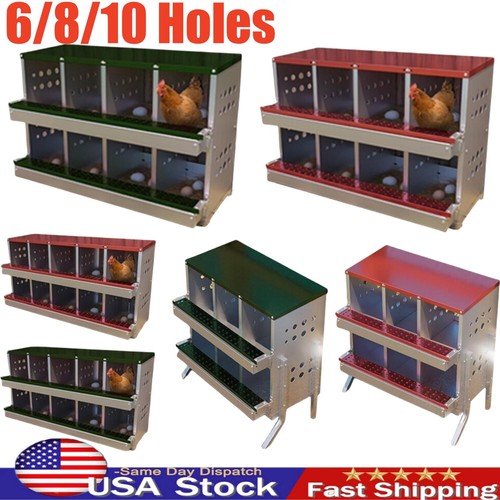 Holes chicken nesting - holes,