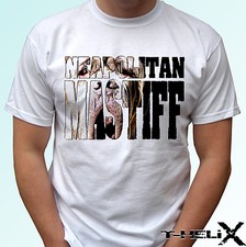 Neapolitan Mastiff - dog t