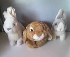 Realistic Rabbit Bundle Of
