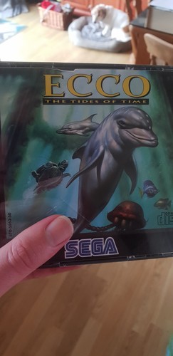 Ecco the dolphin - tides, time