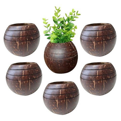 Coconut shell three ring - three,