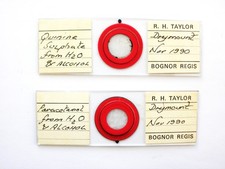 2 Vintage Microscope  Slides.  Quinine Sulphate, Paracetamol by R.H.Taylor