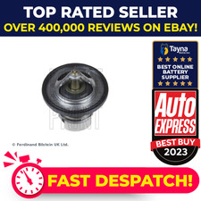 Coolant Thermostat fits