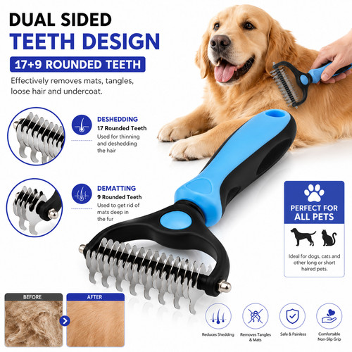 Pet dog cat - cat, rake