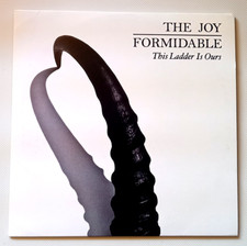 The Joy Formidable – This
