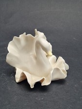 Labelled Chessell Studio