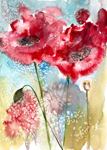 Original red poppy - original,