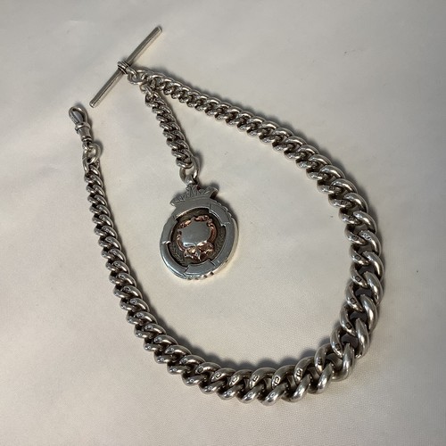 Albert chain medal - chain/medal, silver